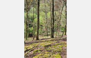 Concours Campagne le 4 et 5 Avril 2026