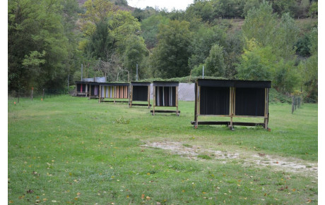 Et pendant cet été, qu’a fait la Compagnie des Archers du Bassin…..