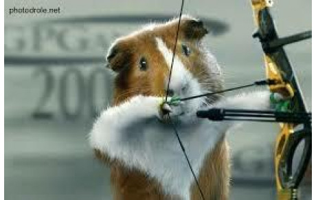 REPRISE D'ACTIVITÉ EN EXTÉRIEURE