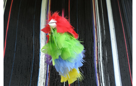 Résultat tir à l'oiseau